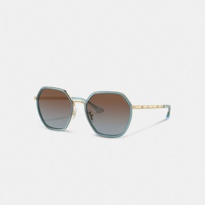 Coach Embellished Narrow Metal Hexagon Sunglasses Transparent Blue | COH866323