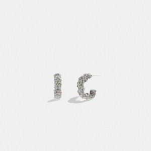 Coach Pavé Tea Rose Hoop Earrings Silver | COH866118