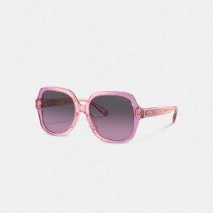 Coach Signature Ombré Oversized Square Sunglasses Pink Purple Gradient | COH866387